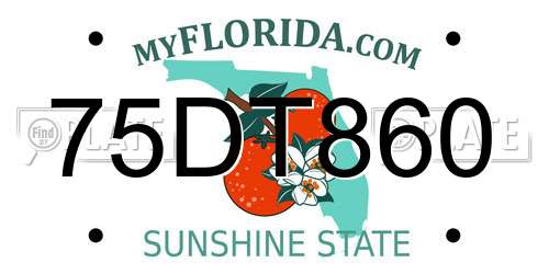 75DT860 Florida License Plate