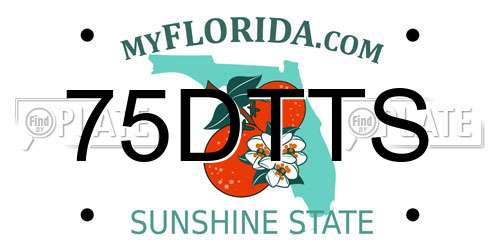 75DTTS Florida License Plate
