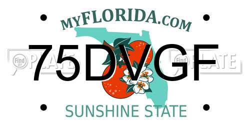 75DVGF Florida License Plate