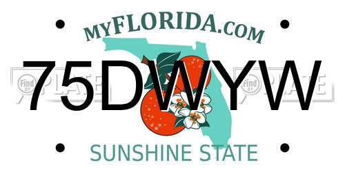 75DWYW Florida License Plate