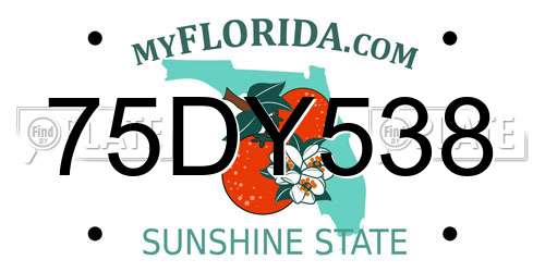 75DY538 Florida License Plate