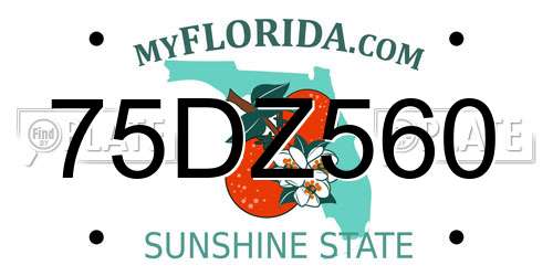 75DZ560 Florida License Plate