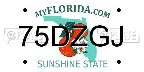 75DZGJ Florida License Plate