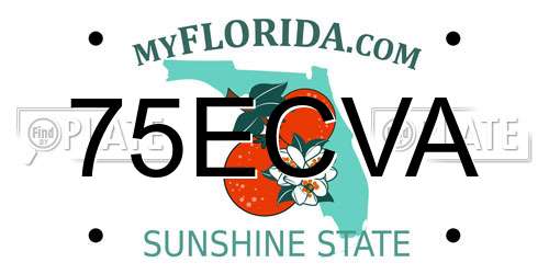 75ECVA Florida License Plate