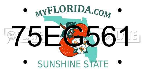 75EG561 Florida License Plate