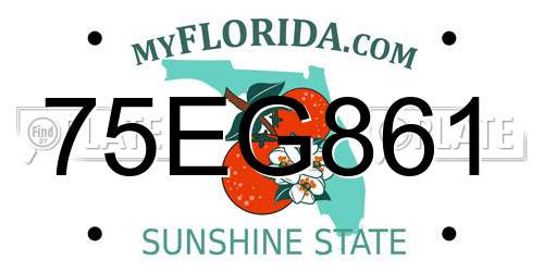 75EG861 Florida License Plate