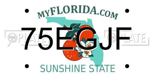 75EGJF Florida License Plate