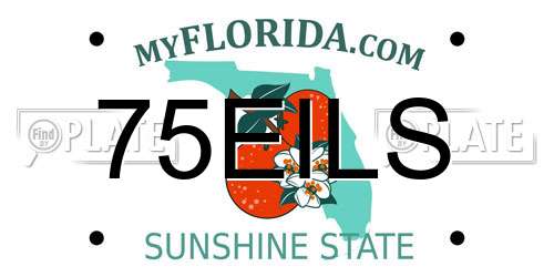 75EILS Florida License Plate