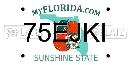 75EJKI Florida License Plate