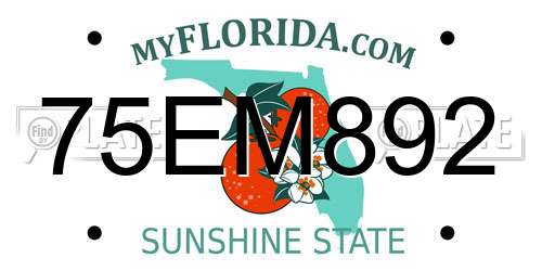 75EM892 Florida License Plate