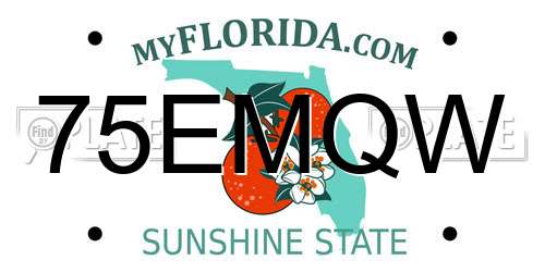75EMQW Florida License Plate