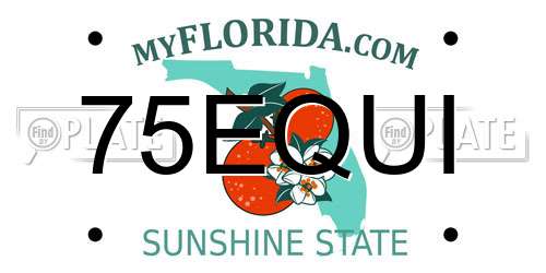 75EQUI Florida License Plate