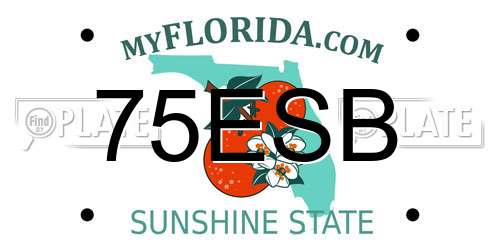 75ESB Florida License Plate