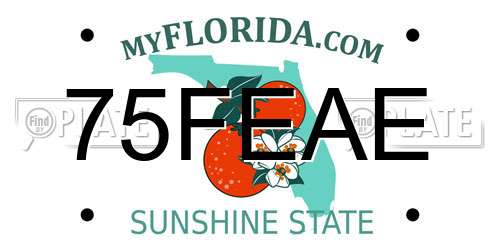 75FEAE Florida License Plate
