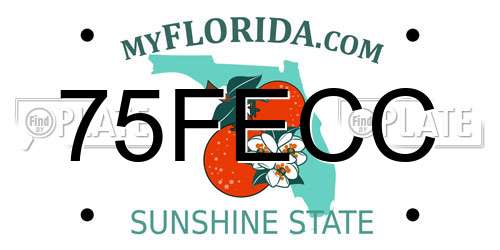 75FECC Florida License Plate