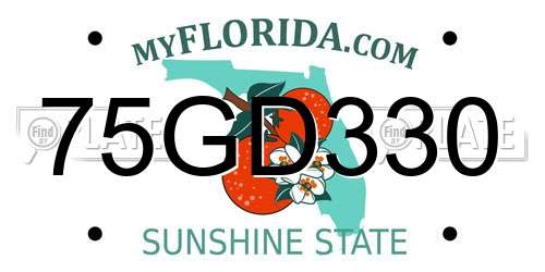 75GD330 Florida License Plate