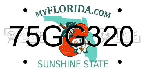 75GG320 Florida License Plate