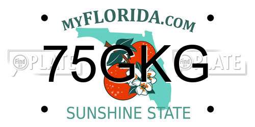 75GKG Florida License Plate