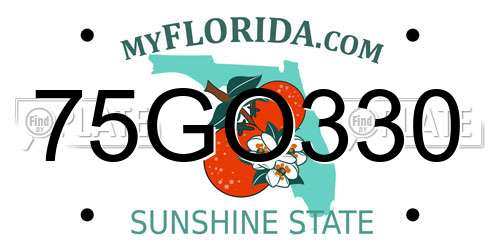 75GO330 Florida License Plate