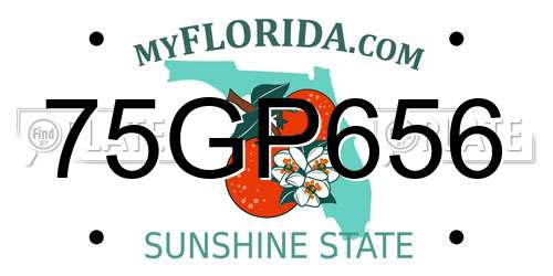 75GP656 Florida License Plate