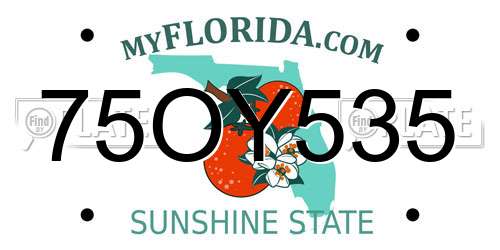 75OY535 Florida License Plate