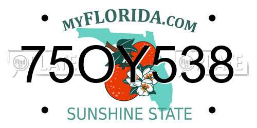 75OY538 Florida License Plate