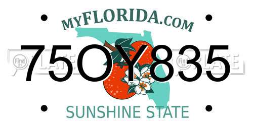 75OY835 Florida License Plate