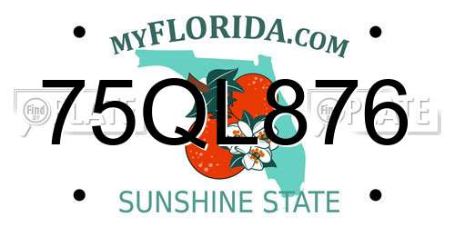 75QL876 Florida License Plate