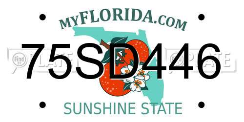 75SD446 Florida License Plate