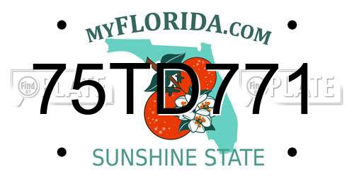 75TD771 Florida License Plate