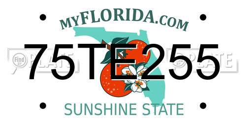 75TE255 Florida License Plate