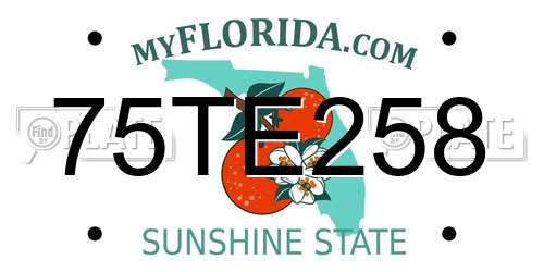75TE258 Florida License Plate