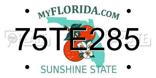 75TE285 Florida License Plate