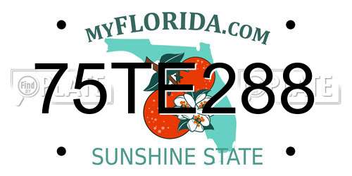 75TE288 Florida License Plate