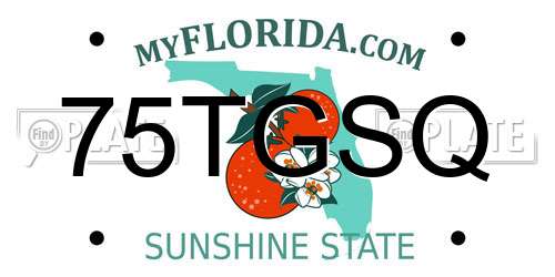 75TGSQ Florida License Plate