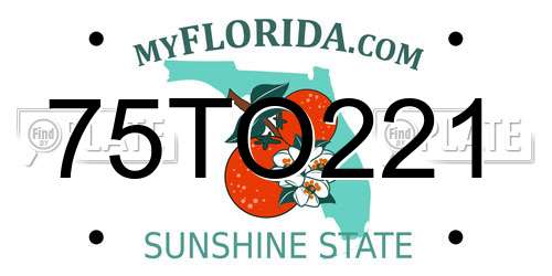 75TO221 Florida License Plate