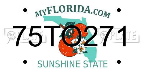 75TO271 Florida License Plate