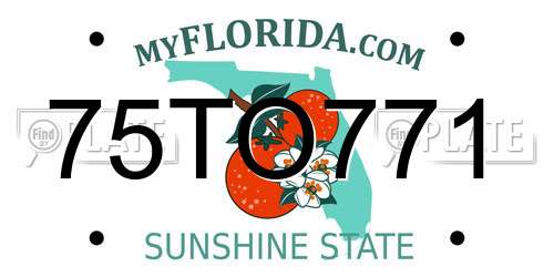 75TO771 Florida License Plate