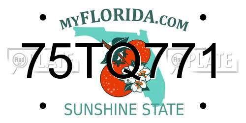 75TQ771 Florida License Plate