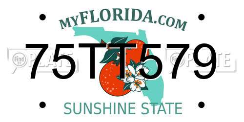 75TT579 Florida License Plate