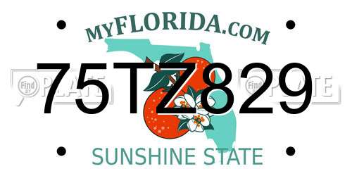 75TZ829 Florida License Plate