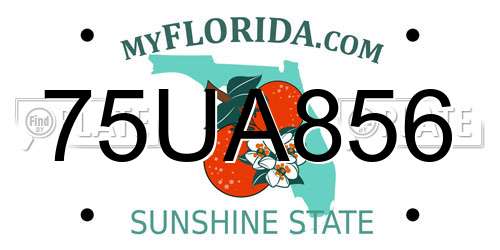 75UA856 Florida License Plate