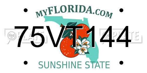 75VT144 Florida License Plate