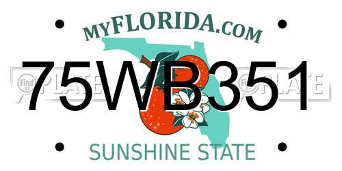 75WB351 Florida License Plate