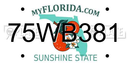 75WB381 Florida License Plate