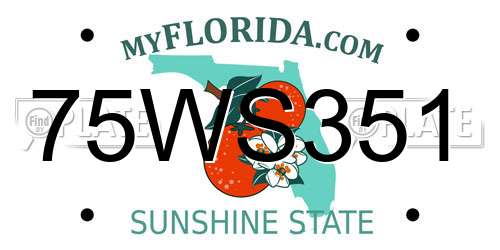 75WS351 Florida License Plate