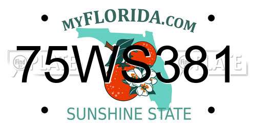 75WS381 Florida License Plate