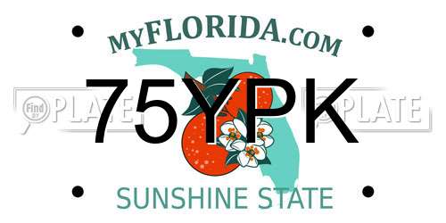 75YPK Florida License Plate