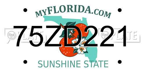 75ZD221 Florida License Plate