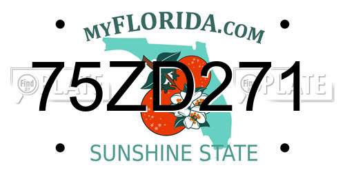 75ZD271 Florida License Plate